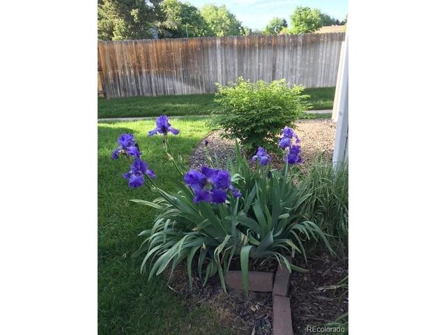 11609 E Cornell Cir, Aurora, CO 80014