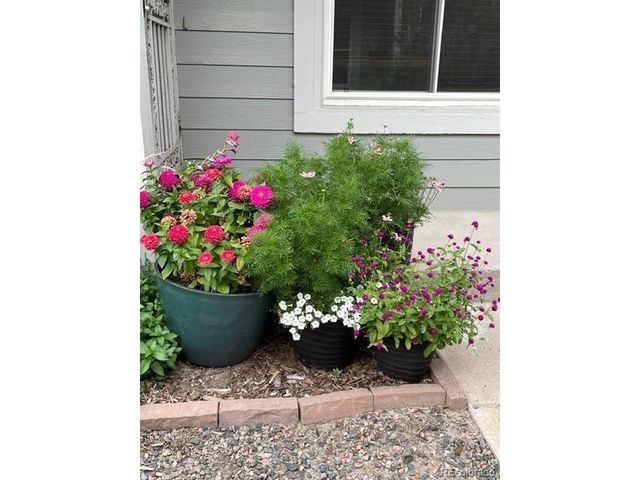 11609 E Cornell Cir, Aurora, CO 80014