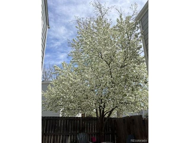 11609 E Cornell Cir, Aurora, CO 80014