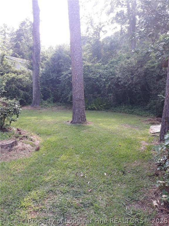 1432 Pine Valley Loop, Fayetteville, NC 28305 — photo 18