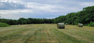 86 Bingham Road, Gilmanton, NH 03237