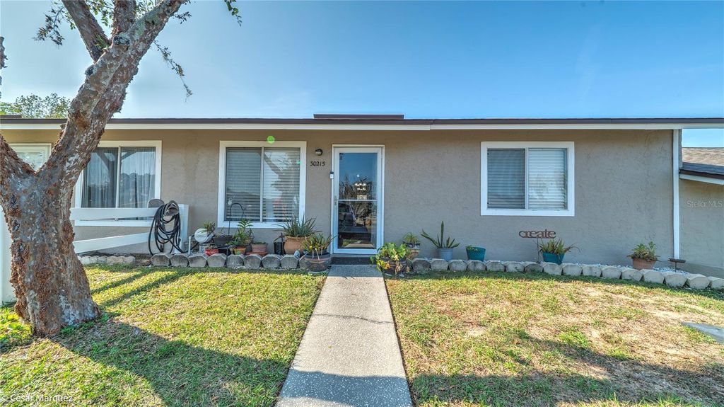 30215 TAVARES RIDGE BOULEVARD 11, Tavares, FL 32778