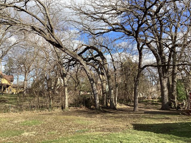 155 S Seymour Avenue, Grayslake, IL 60030