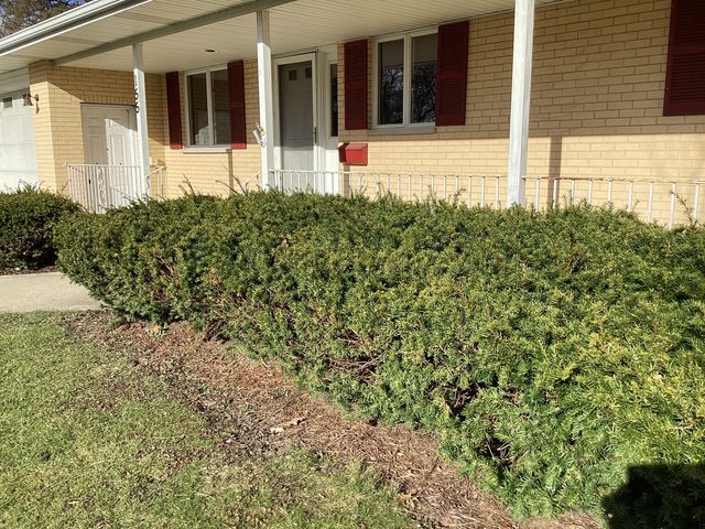 155 S Seymour Avenue, Grayslake, IL 60030