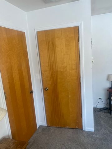 155 S Seymour Avenue, Grayslake, IL 60030