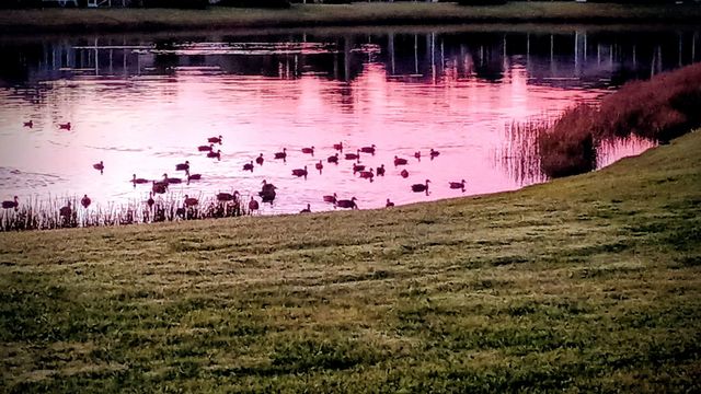 193 NW Bentley Circle, Port St. Lucie, Port St Lucie, FL 34986