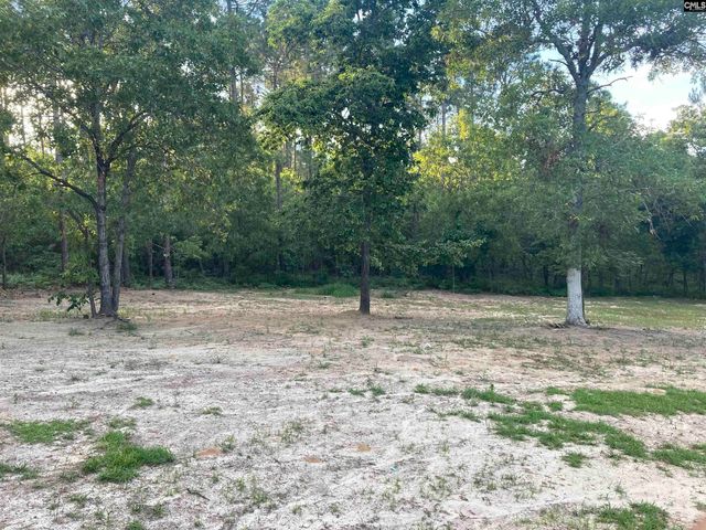 206 par Court, Gaston, SC 29053