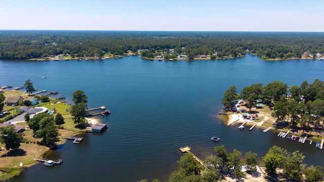 1430 Copeland Drive, Manning, SC 29102