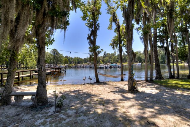 1430 Copeland Drive, Manning, SC 29102