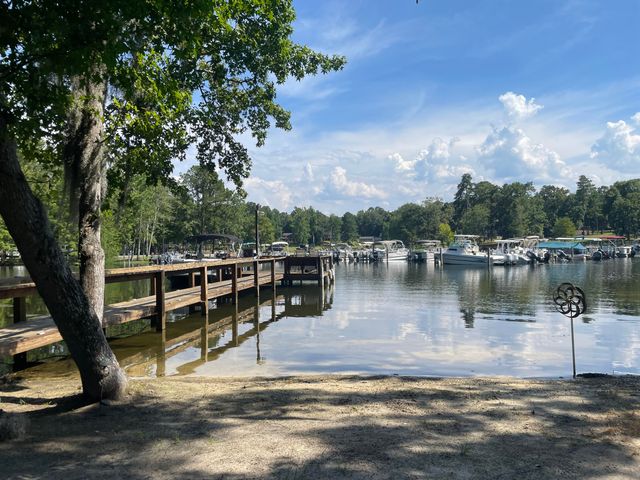 1430 Copeland Drive, Manning, SC 29102