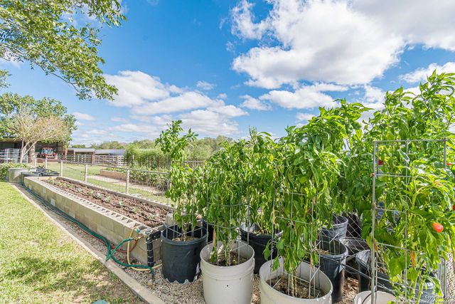 2034 County Road 342, La Vernia, TX 78121