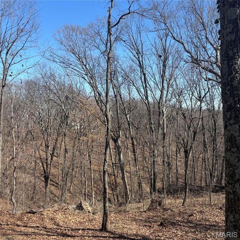 7350 Deborah Lane, Hillsboro, MO 63050