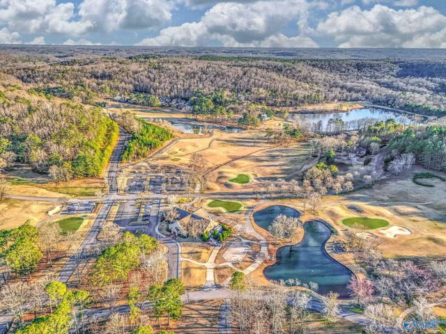 44 Oak Ridge Place, Cherokee Ridge, AL 35175