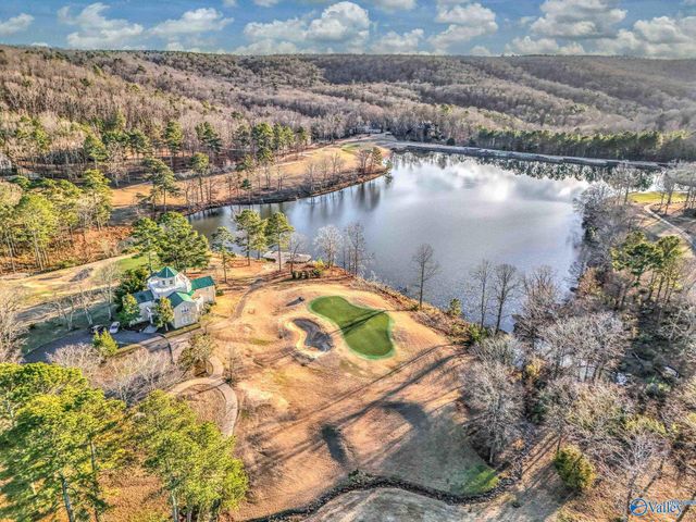 44 Oak Ridge Place, Cherokee Ridge, AL 35175