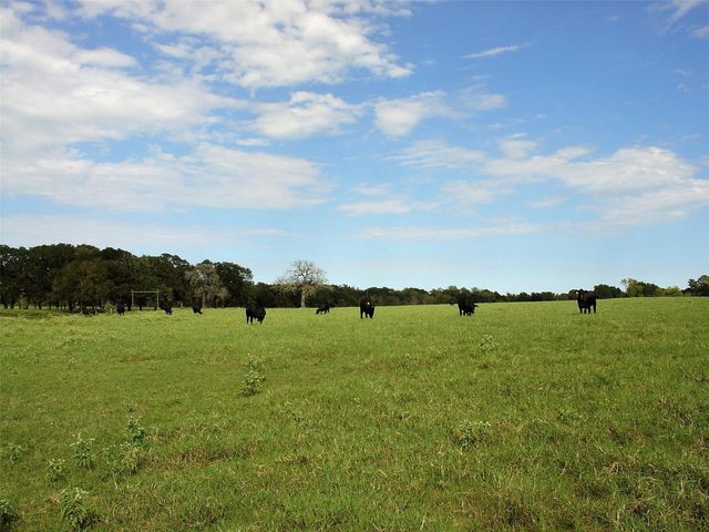 53681 Us 290 Highway, Hempstead, TX 77445