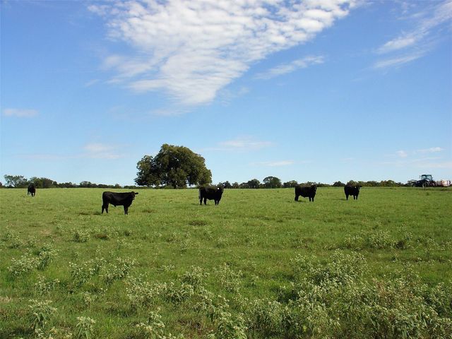 53681 Us 290 Highway, Hempstead, TX 77445