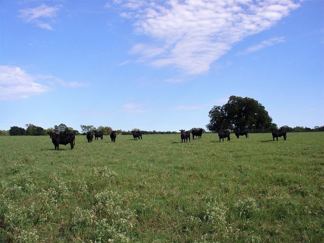 53681 Us 290 Highway, Hempstead, TX 77445