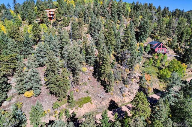 11723 Braun Way, Conifer, CO 80433