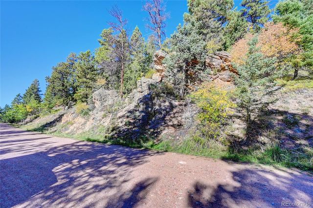 11723 Braun Way, Conifer, CO 80433