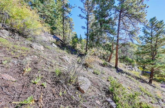 11723 Braun Way, Conifer, CO 80433