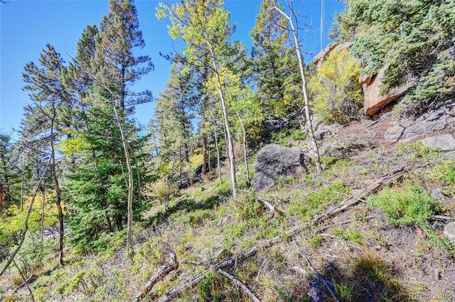 11723 Braun Way, Conifer, CO 80433