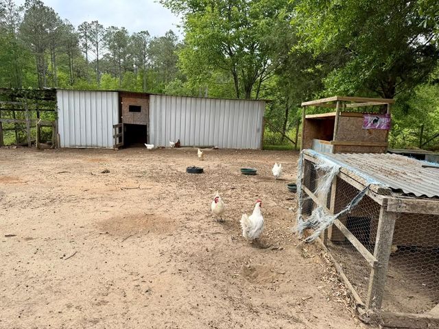 801 Benton Store Road, Ashford, AL 36312