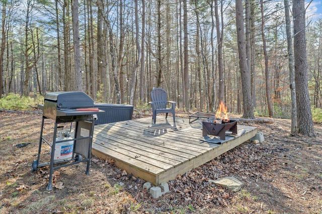 738 Jerry LN NE, Check, VA 24072