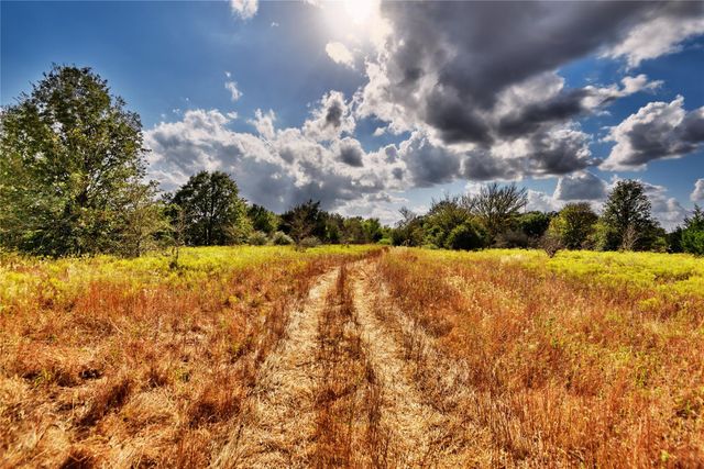 11667 Coleman Street, Bryan, TX 77808