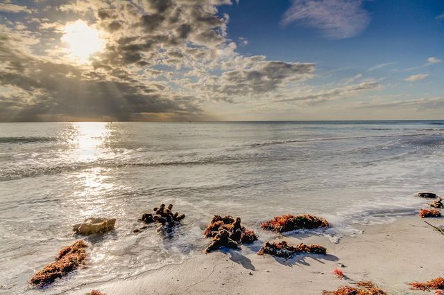 317 12TH AVENUE, Indian Rocks Beach, FL 33785