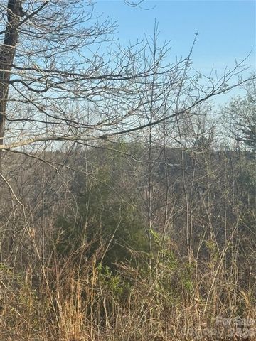 0 Willow Top Lane 317, Lake Lure, NC 28746