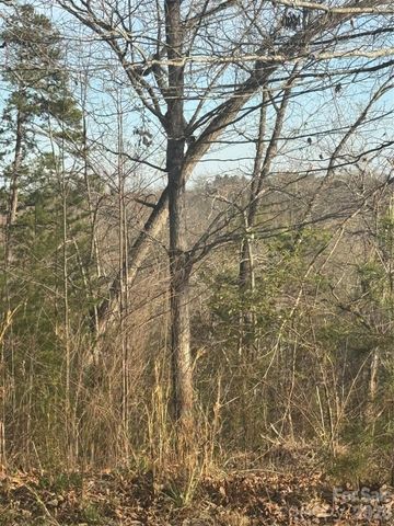 0 Willow Top Lane 317, Lake Lure, NC 28746