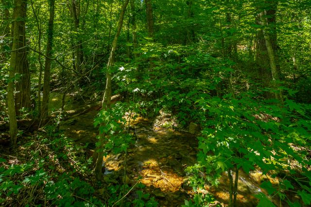 119 Westbrook Avenue, Soddy Daisy, TN 37379