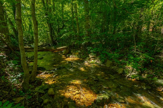 119 Westbrook Avenue, Soddy Daisy, TN 37379