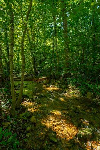 119 Westbrook Avenue, Soddy Daisy, TN 37379