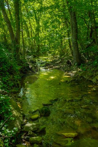 119 Westbrook Avenue, Soddy Daisy, TN 37379