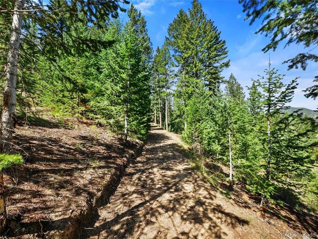 33992 Meadow Mountain Rd, Evergreen, CO 80439