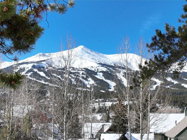 102 S High Street, Breckenridge, CO 80424
