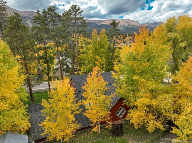 102 S High Street, Breckenridge, CO 80424