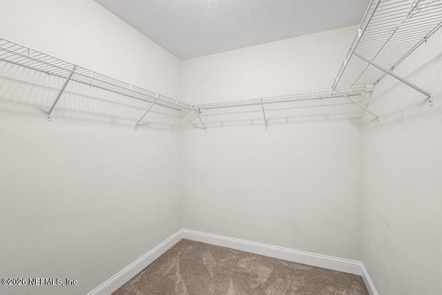 14042 CARSON Court, Jacksonville, FL 32224