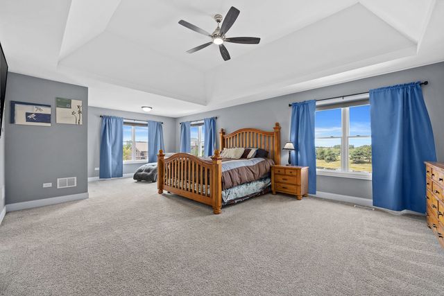 22384 Mallow Drive, Frankfort, IL 60423