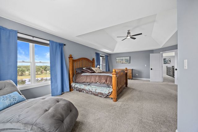 22384 Mallow Drive, Frankfort, IL 60423