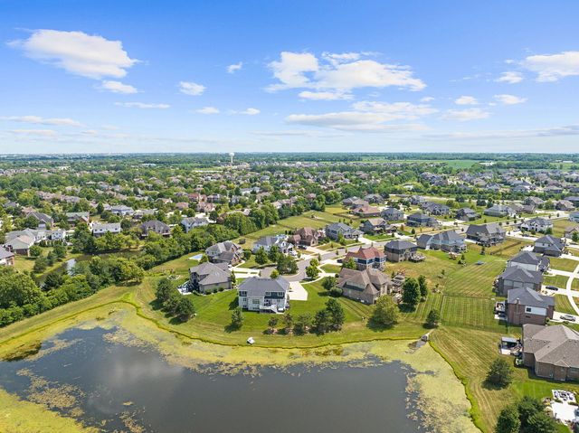 22384 Mallow Drive, Frankfort, IL 60423