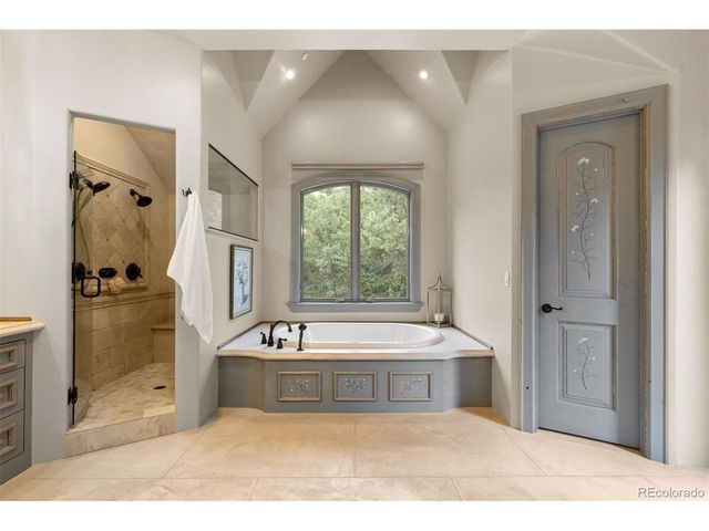 1043 Meteor Pl, Castle Rock, CO 80108