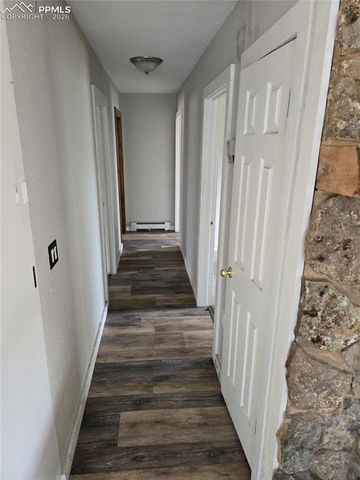 875 Obsidian Drive, Florissant, CO 80816