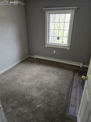 875 Obsidian Drive, Florissant, CO 80816