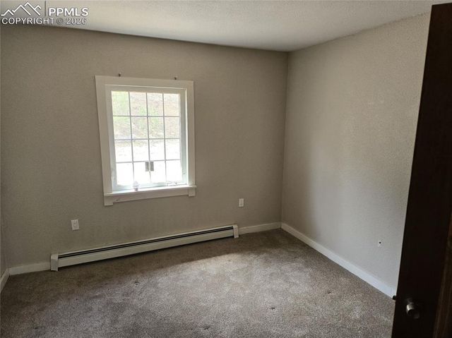 875 Obsidian Drive, Florissant, CO 80816