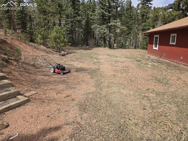 875 Obsidian Drive, Florissant, CO 80816