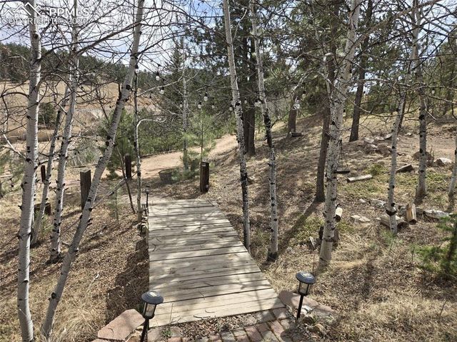 875 Obsidian Drive, Florissant, CO 80816