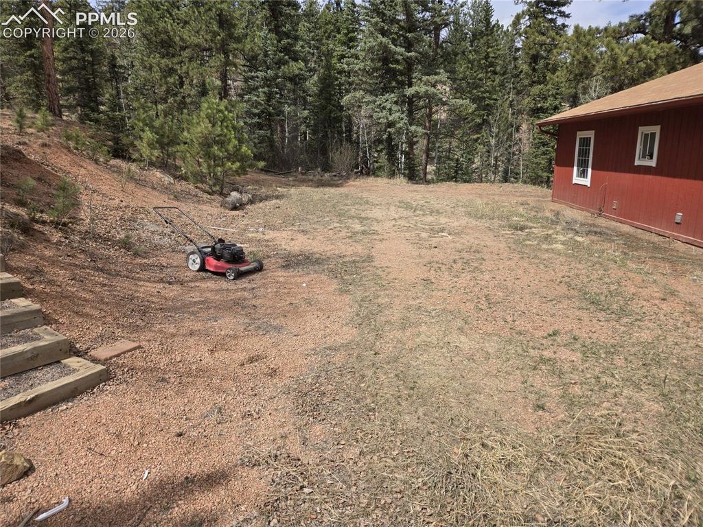 875 Obsidian Drive, Florissant, CO 80816 — photo 3