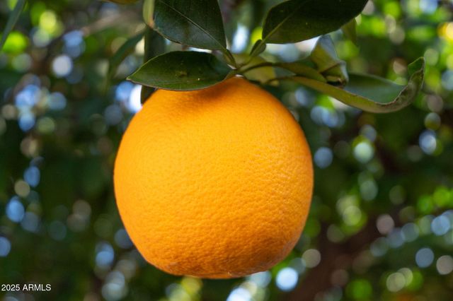 1932 LEISURE WORLD --, Mesa, AZ 85206